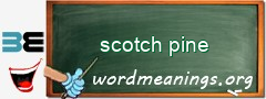 WordMeaning blackboard for scotch pine